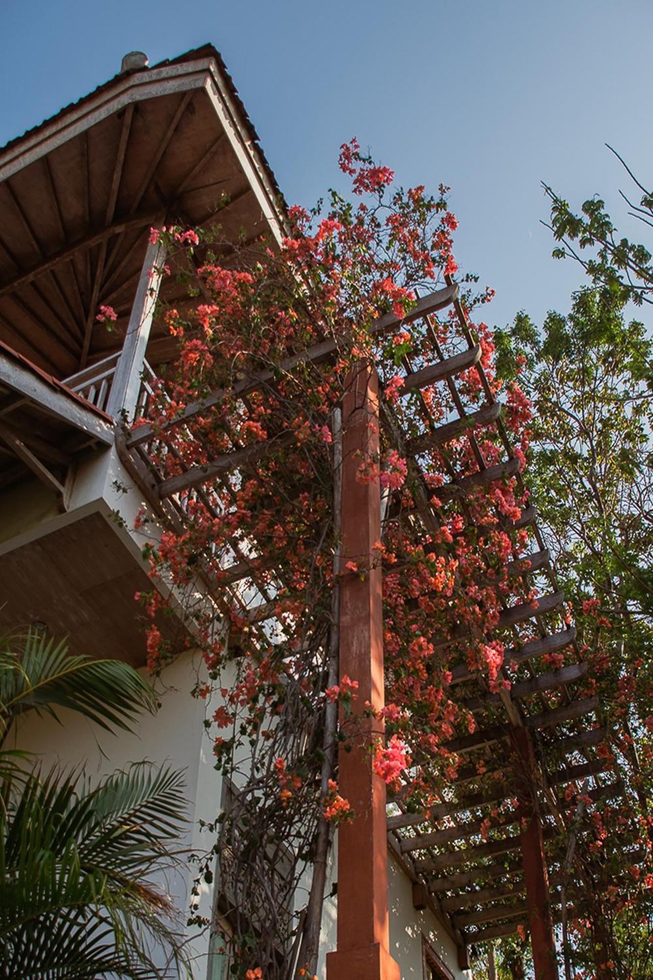 Bangsring Breeze Otel Banyuwangi  Dış mekan fotoğraf