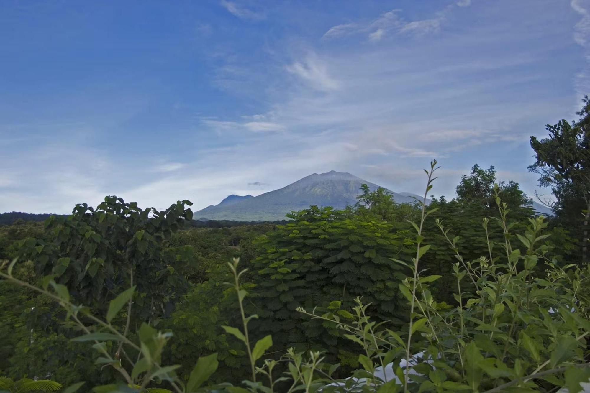 Bangsring Breeze Otel Banyuwangi  Dış mekan fotoğraf